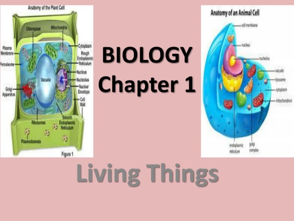 BIOLOGY Chapter 1