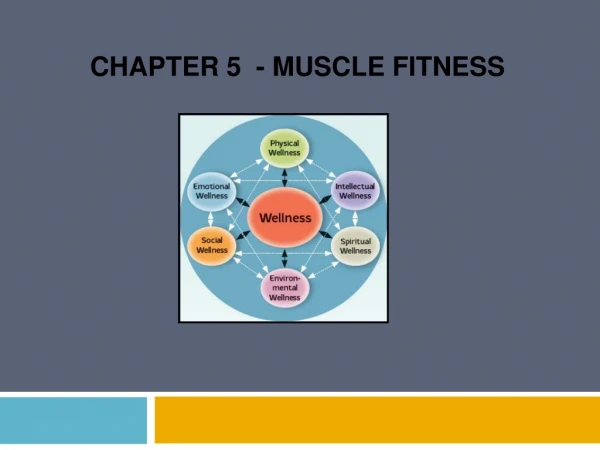 Chapter 5 - muscle fitness