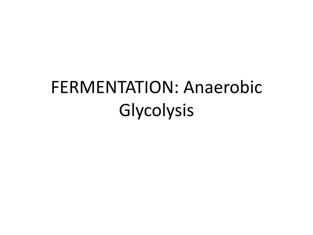 fermentation anaerobic glycolysis