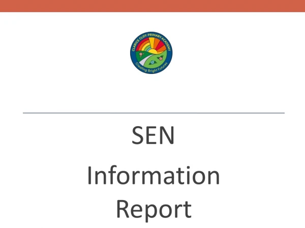 SEN Information Report