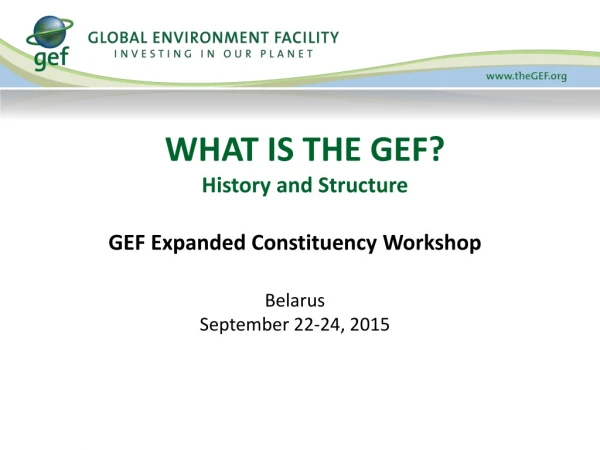 WHAT IS THE GEF? History and Structure