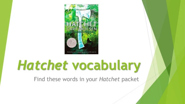 Hatchet vocabulary