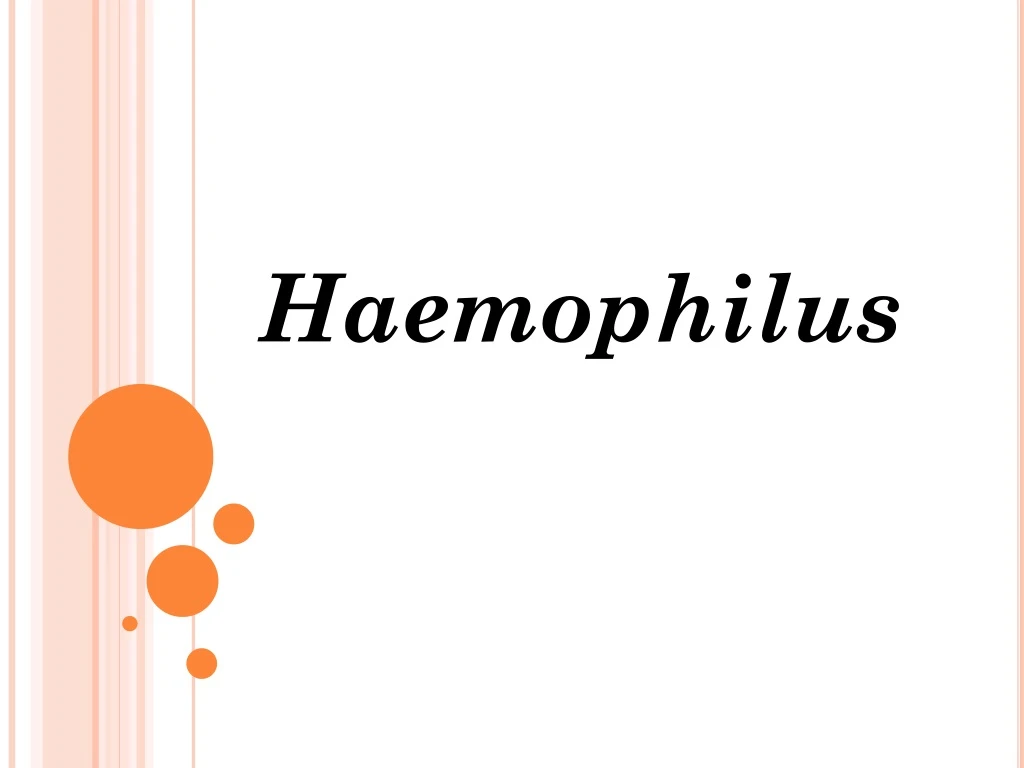 haemophilus