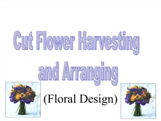 Floral Design - slide 1