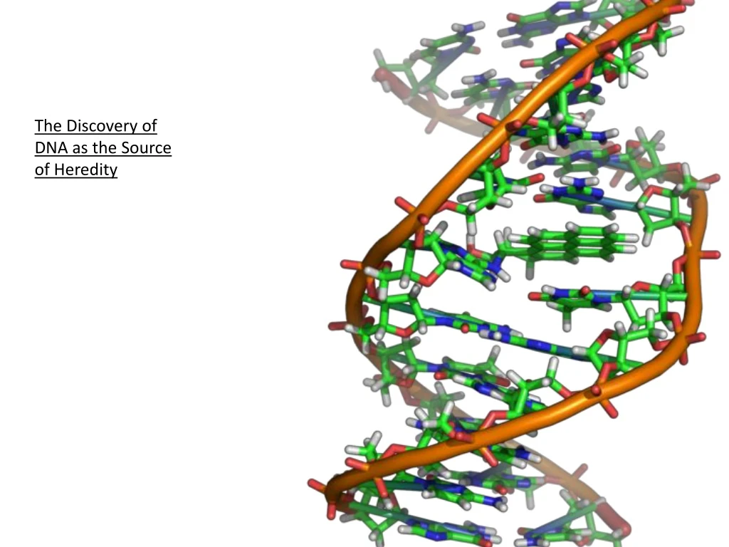 the discovery of dna as the source of heredity