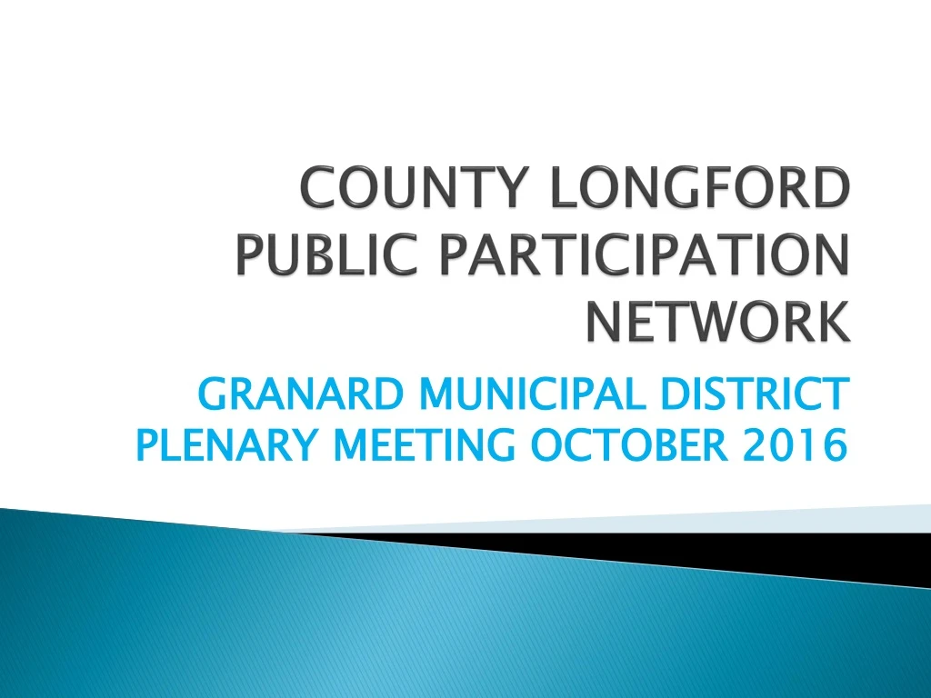 county longford public participation network