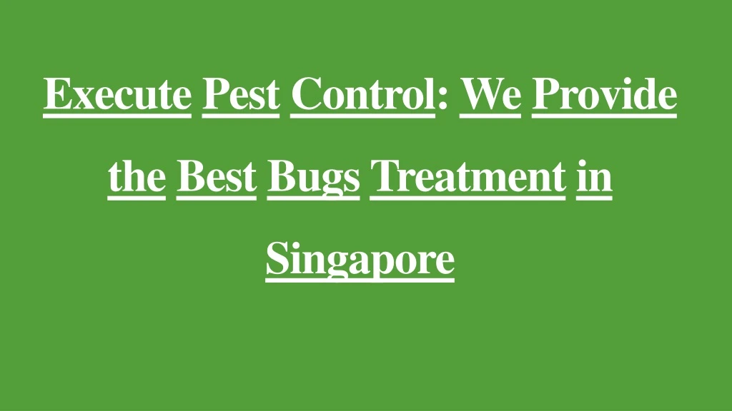 execute pest control we provide the best bugs treatment in singapore