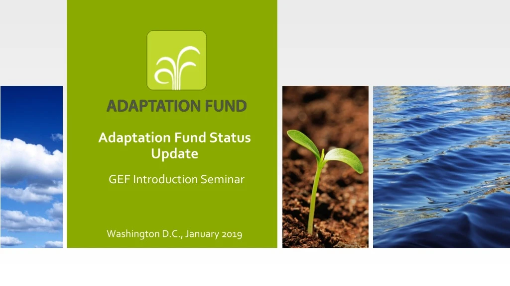 adaptation fund status update