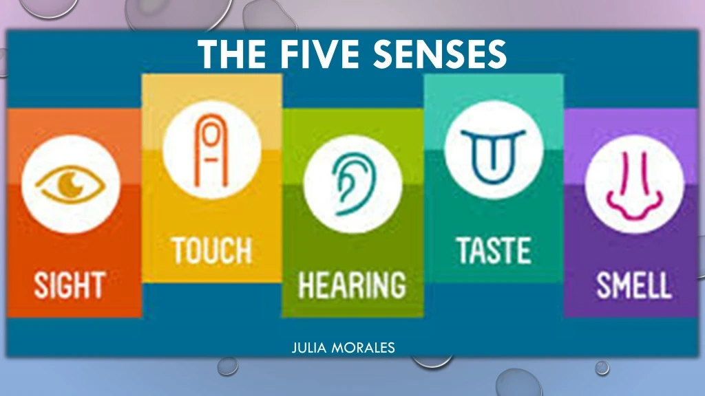 the five senses