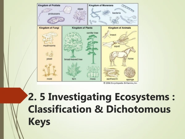 2. 5 Investigating Ecosystems : Classification &amp; Dichotomous Keys