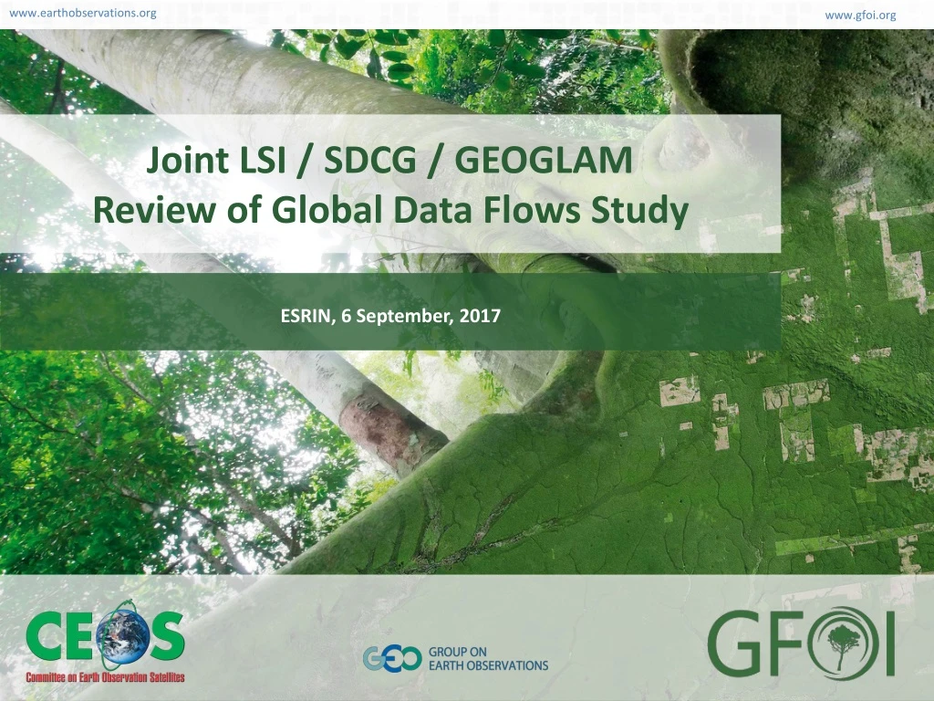 joint lsi sdcg geoglam review of global data flows study