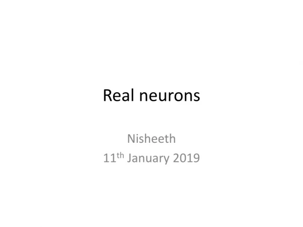 Real neurons