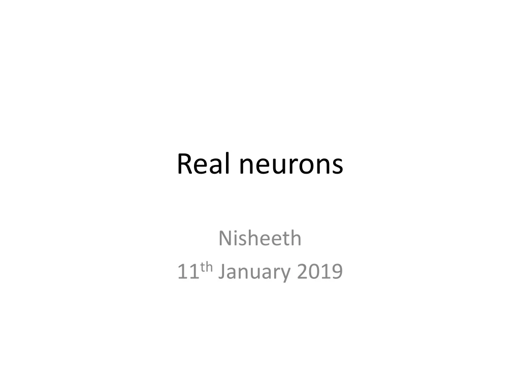 real neurons