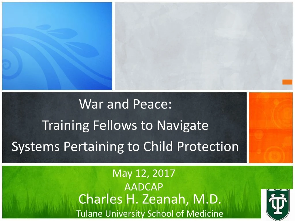 war and peace training fellows to navigate systems pertaining to child protection