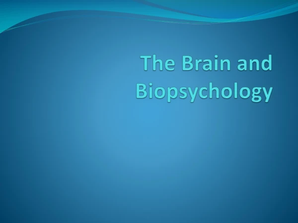 The Brain and Biopsychology