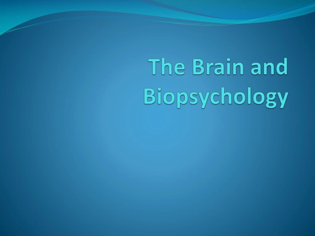 the brain and biopsychology