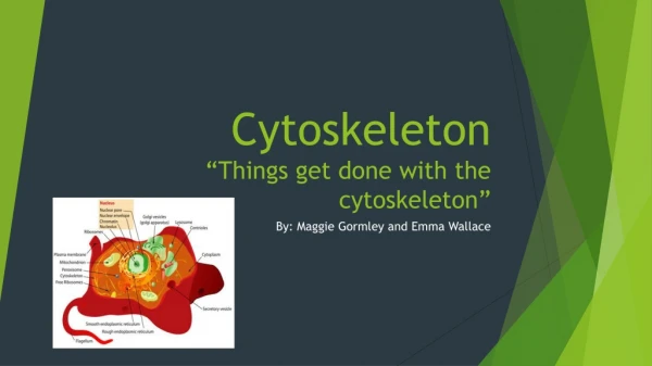 Cytoskeleton “Things get done with the cytoskeleton”