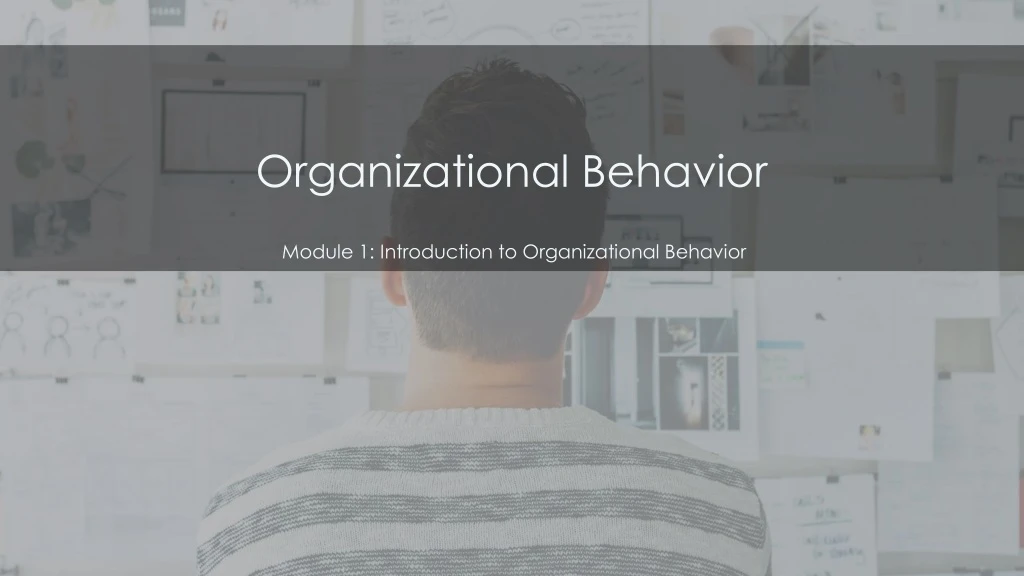 organizational behavior