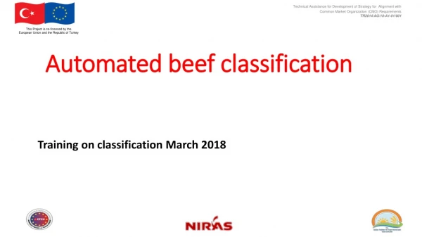 Automated beef classification