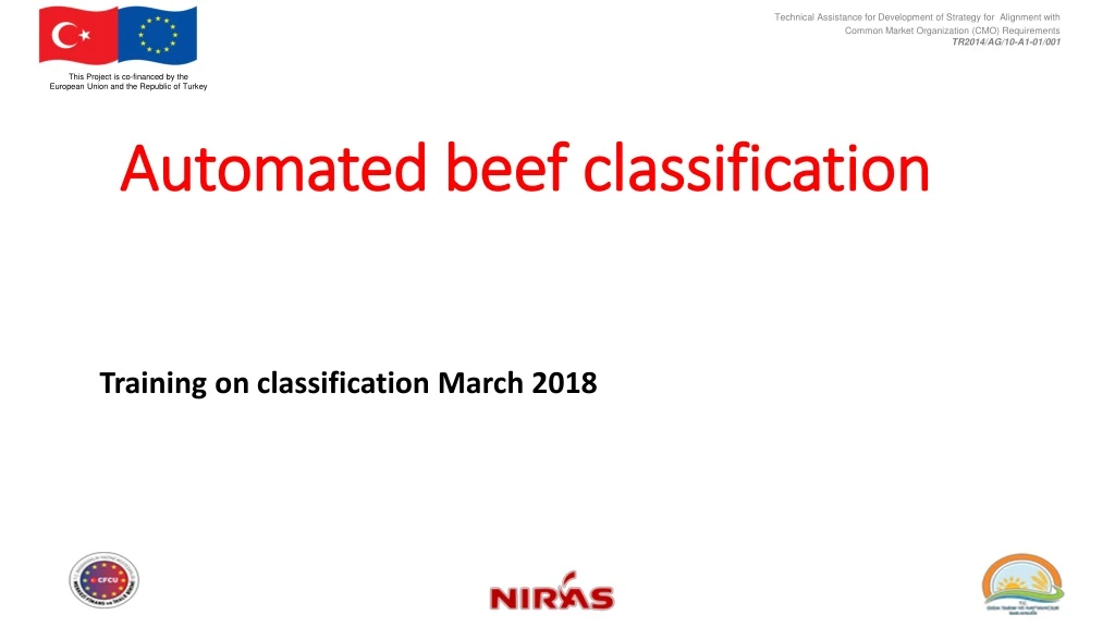 automated beef classification