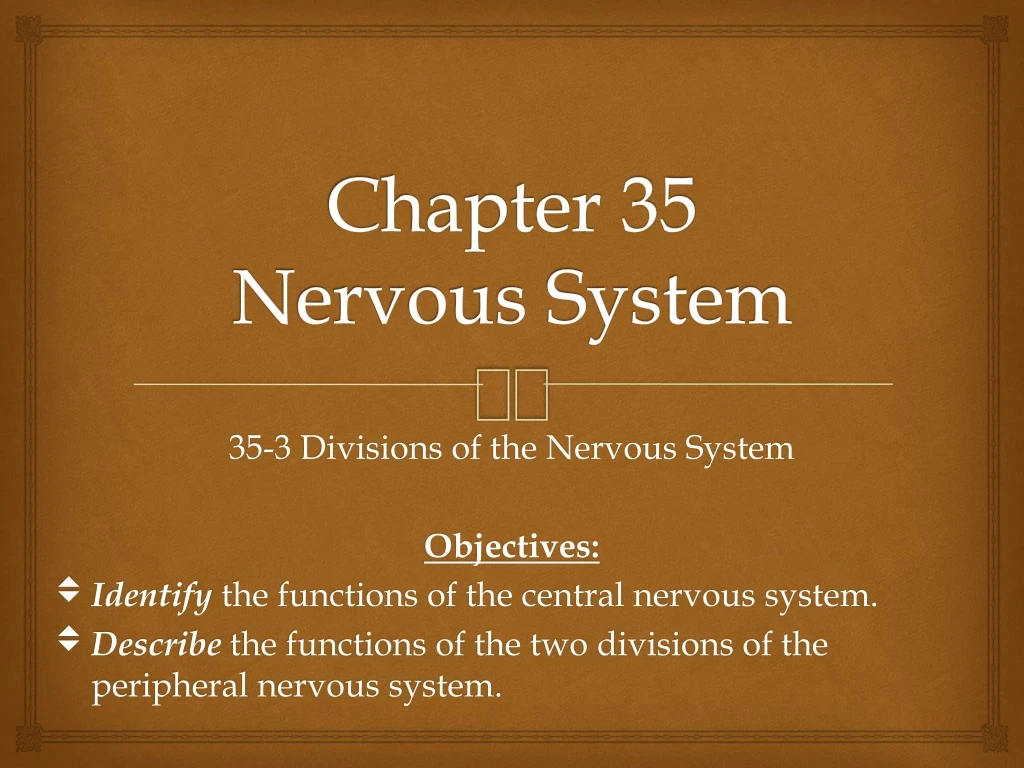chapter 35 nervous system