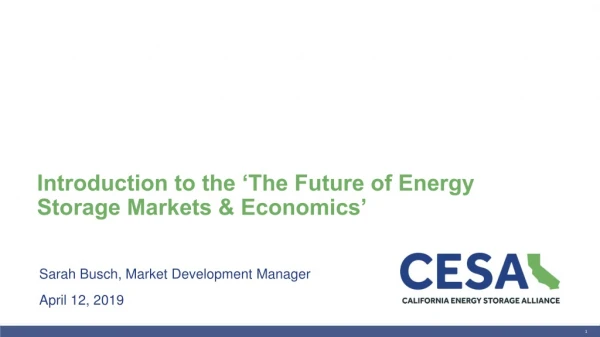 Introduction to the ‘The Future of Energy Storage Markets &amp; Economics’