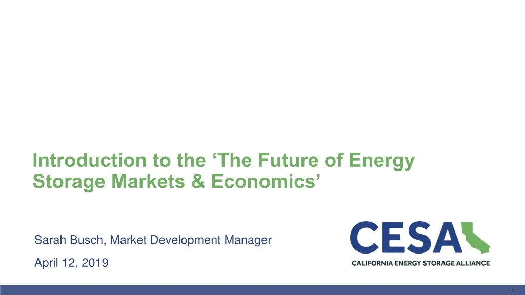 introduction to the the future of energy storage markets economics