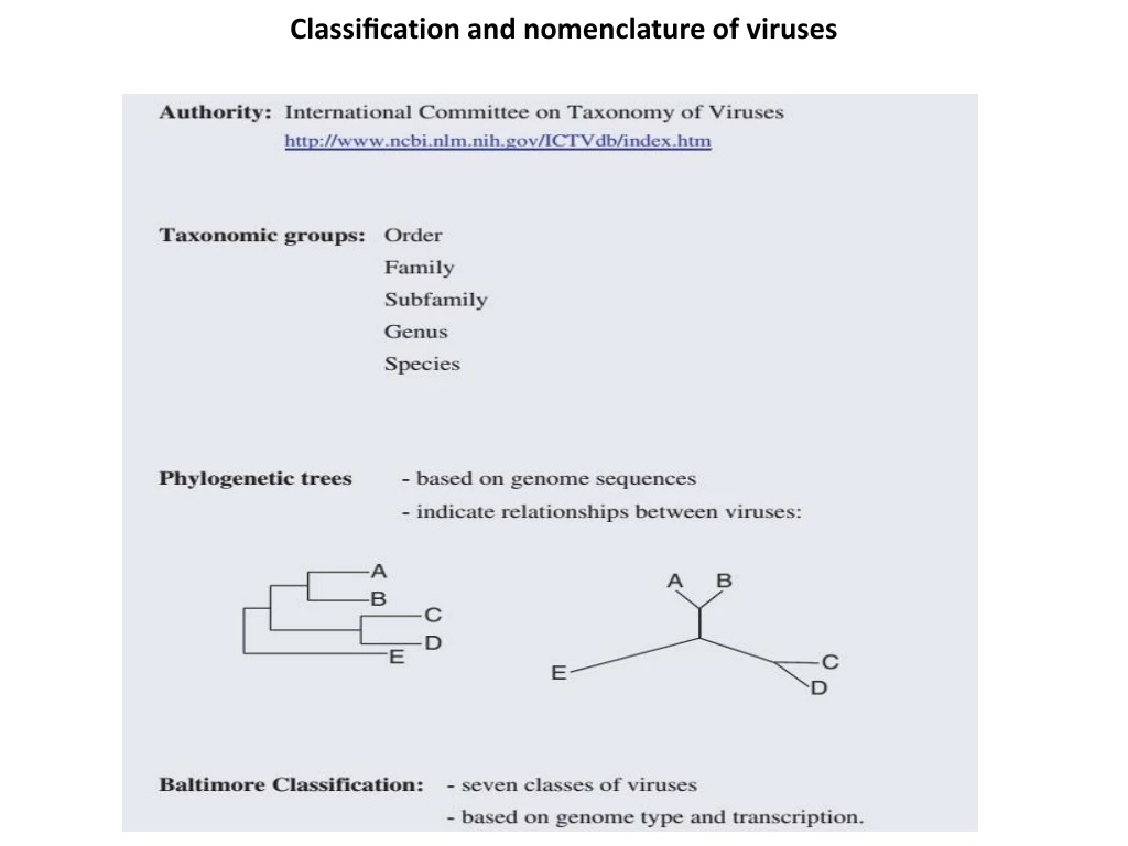 classi cation and nomenclature of viruses