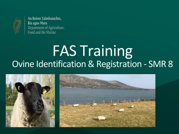 FAS Training Ovine Identification &amp; Registration - SMR 8