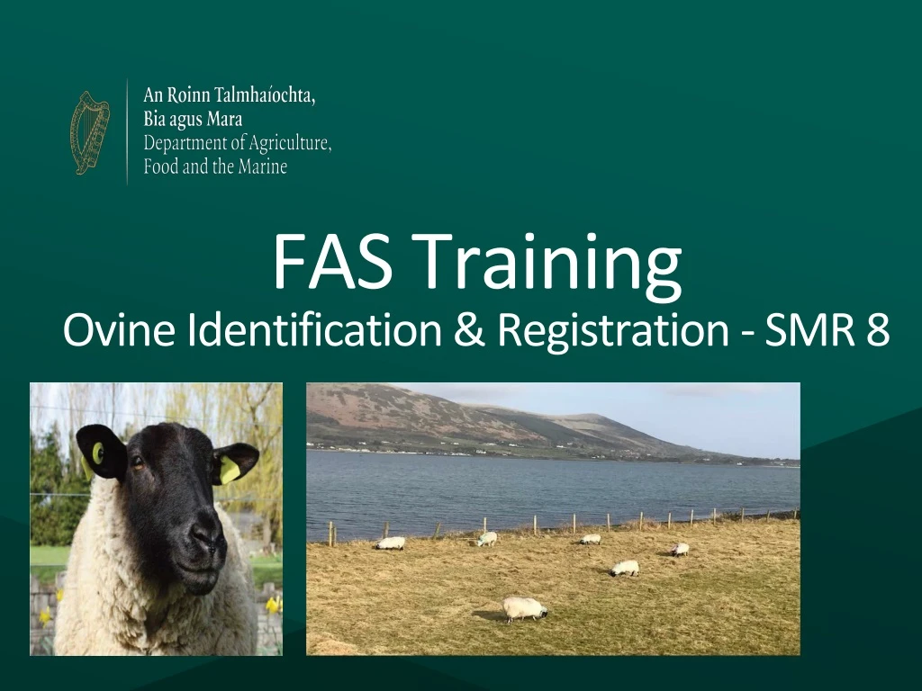 fas training ovine identification registration smr 8