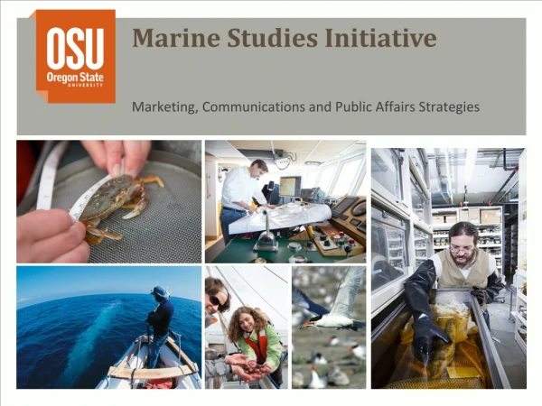 Marine Studies Initiative