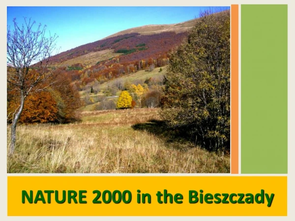 NATURE 2000 in the Bieszczady