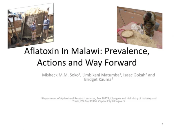 Aflatoxin In Malawi: Prevalence, Actions and Way F orward