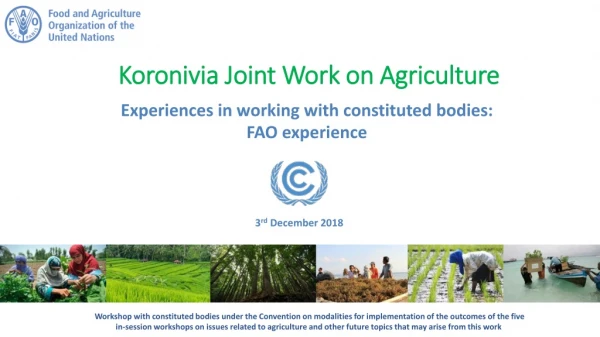 Koronivia Joint Work on Agriculture