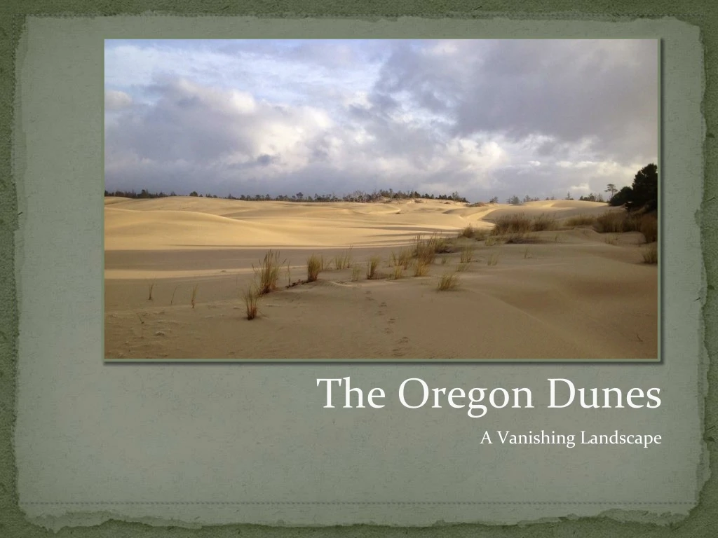 the oregon dunes