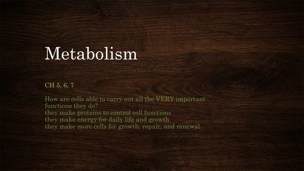 metabolism