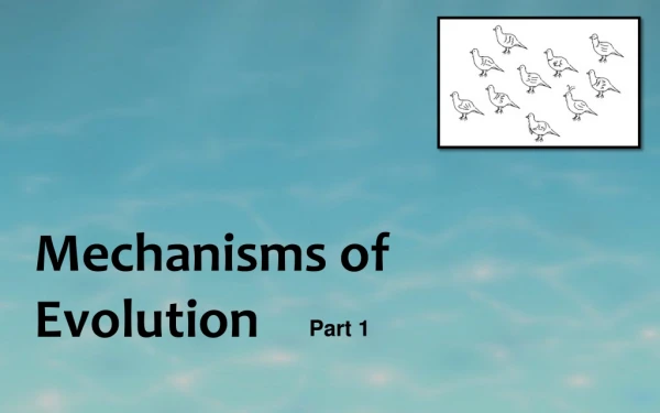 Mechanisms of Evolution