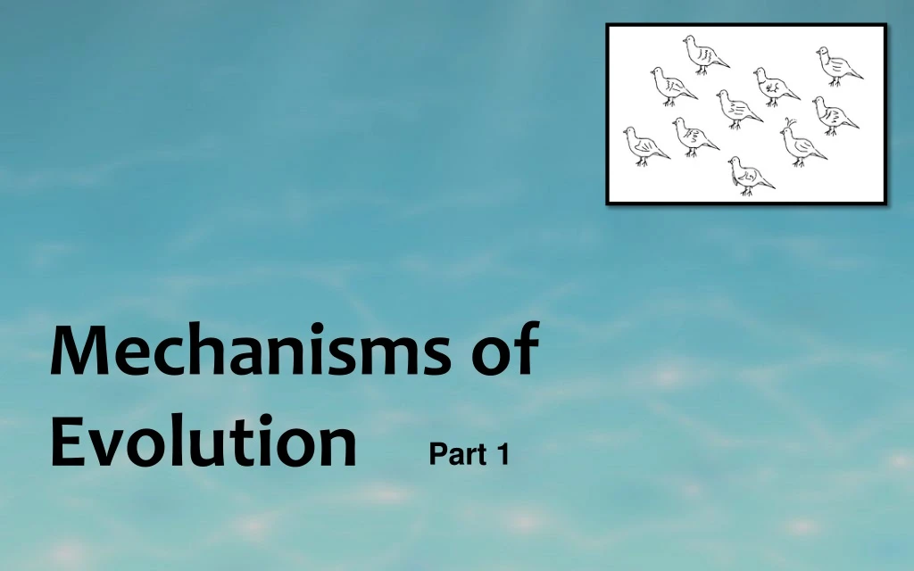 mechanisms of evolution