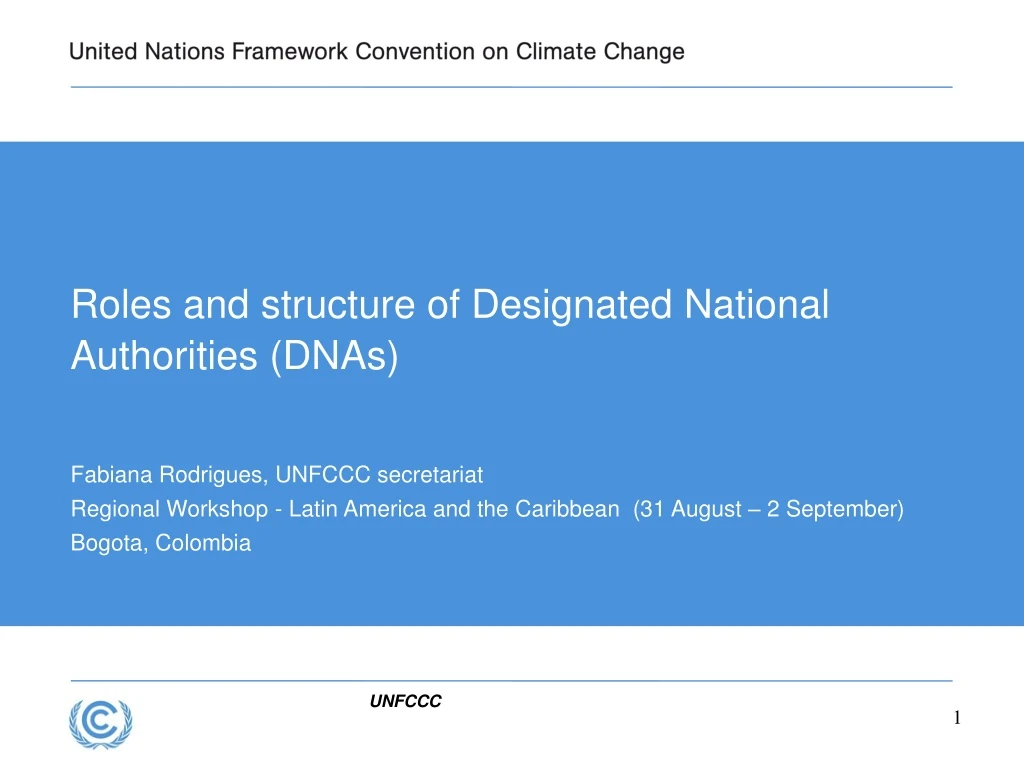 roles and structure of designated national authorities dnas