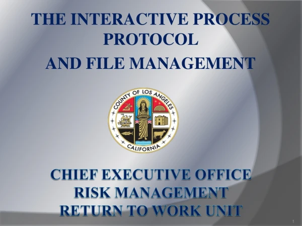 Chief Executive Office Risk Management RETURN TO WORK Unit