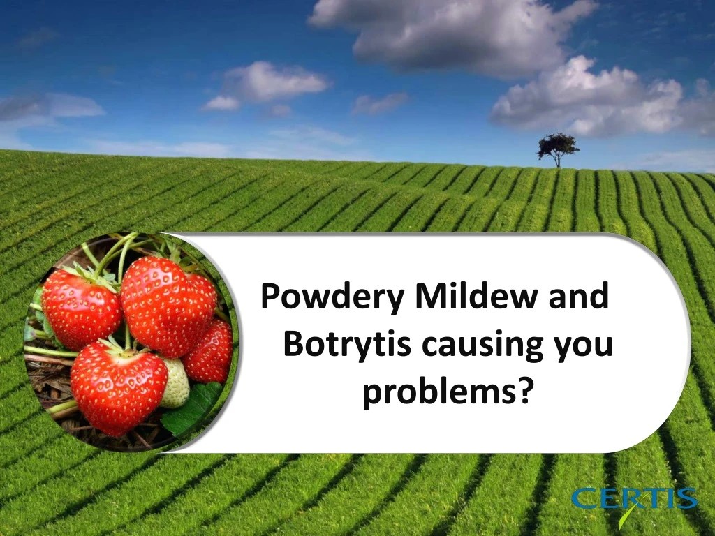 powdery mildew and botrytis causing you problems