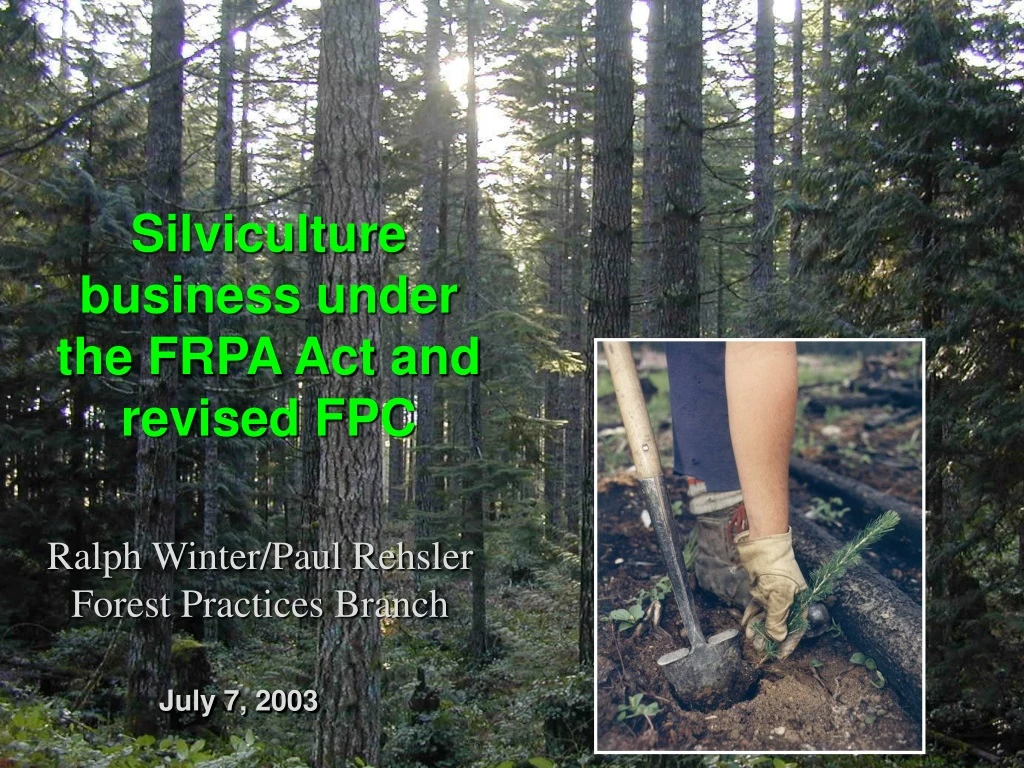 silviculture business under the frpa