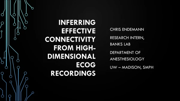 Inferring Effective Connectivity From High-Dimensional ECoG Recordings