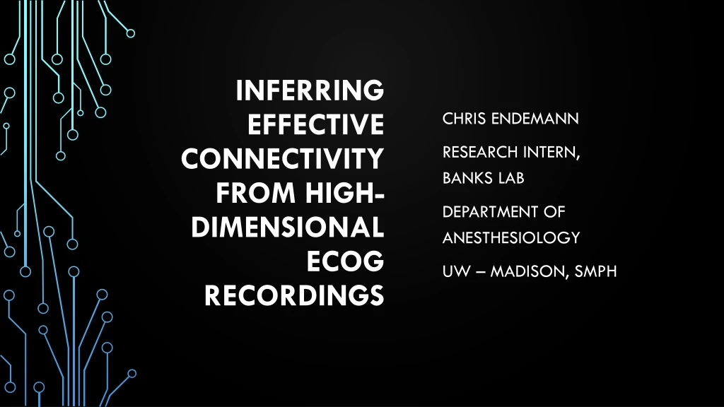 inferring effective connectivity from high dimensional ecog recordings