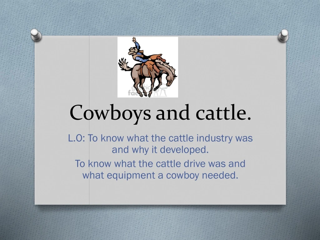 cowboys and cattle