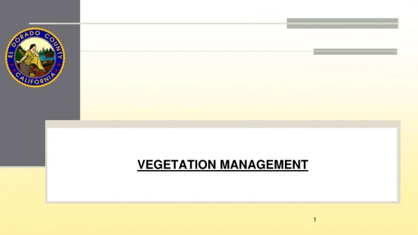 Vegetation management