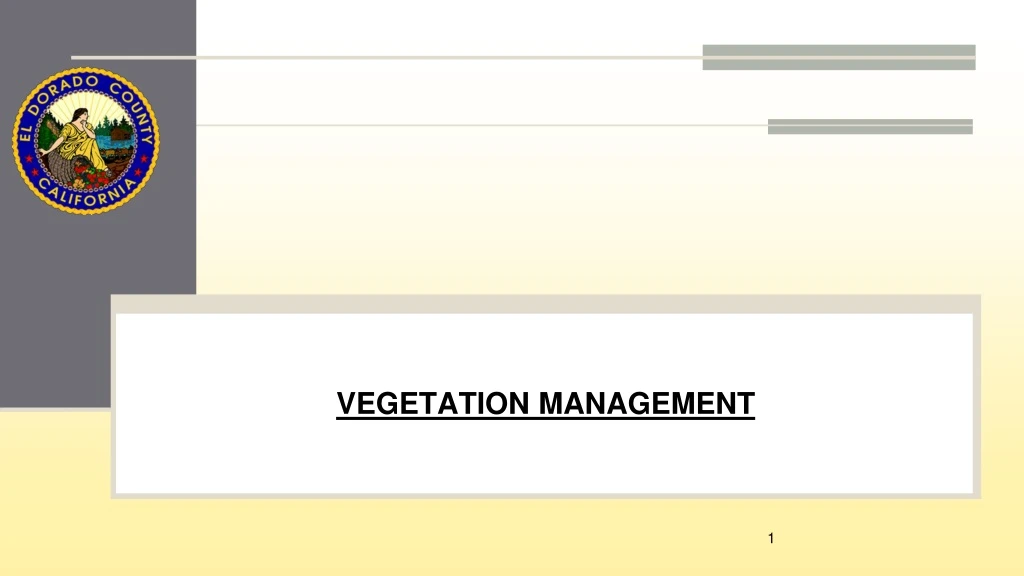 vegetation management