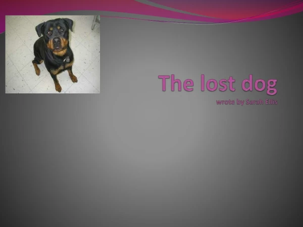 The lost dog wrote by S arah Ellis