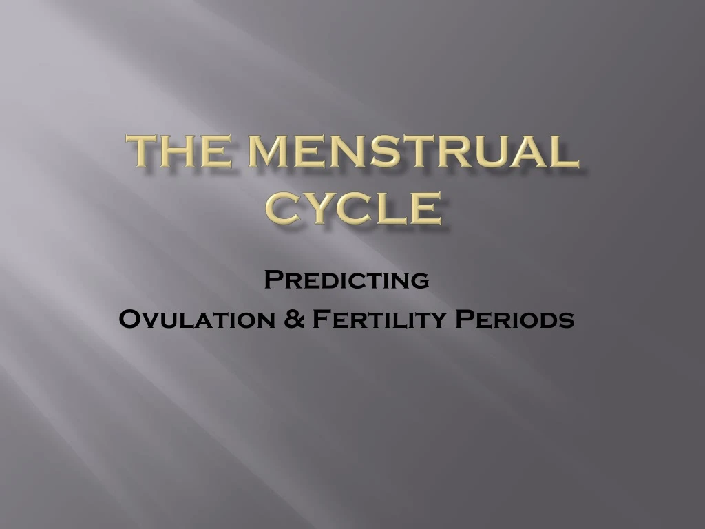 the menstrual cycle