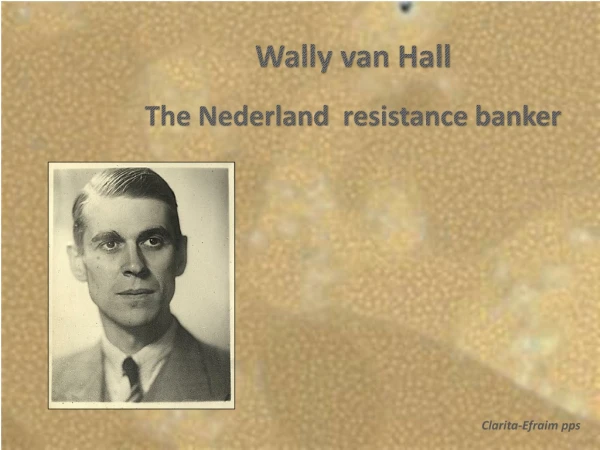 Wally van Hall